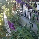 Apartament Mεζονέτα γεωπονικών