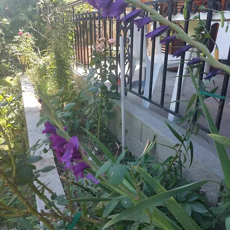 公寓 Mεζονέτα γεωπονικών