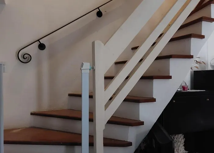 Mεζονέτα γεωπονικών * Vergia